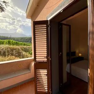 Tenuta Kiwi Dell'etna Casa vacanze Milo